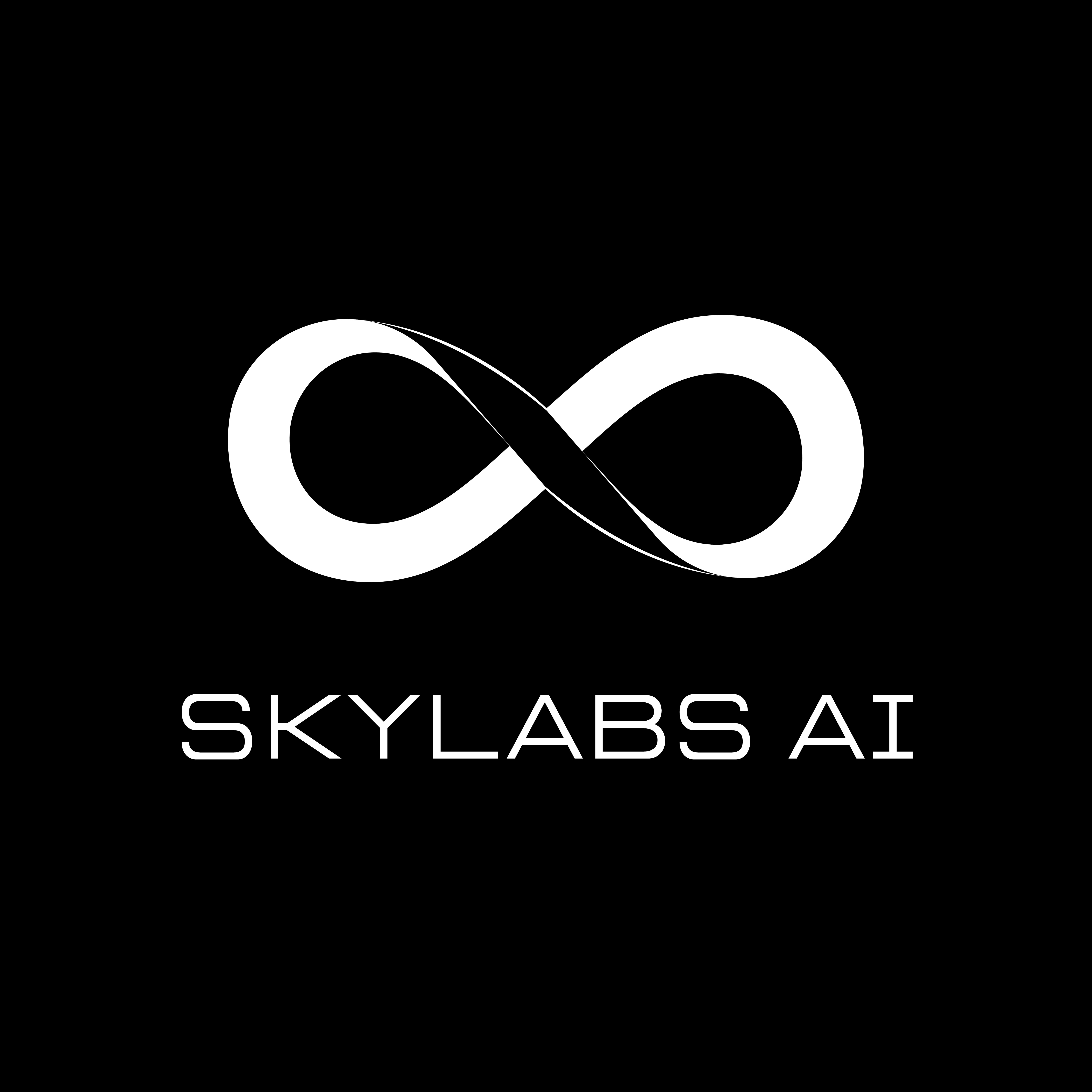 Skylabs-AI