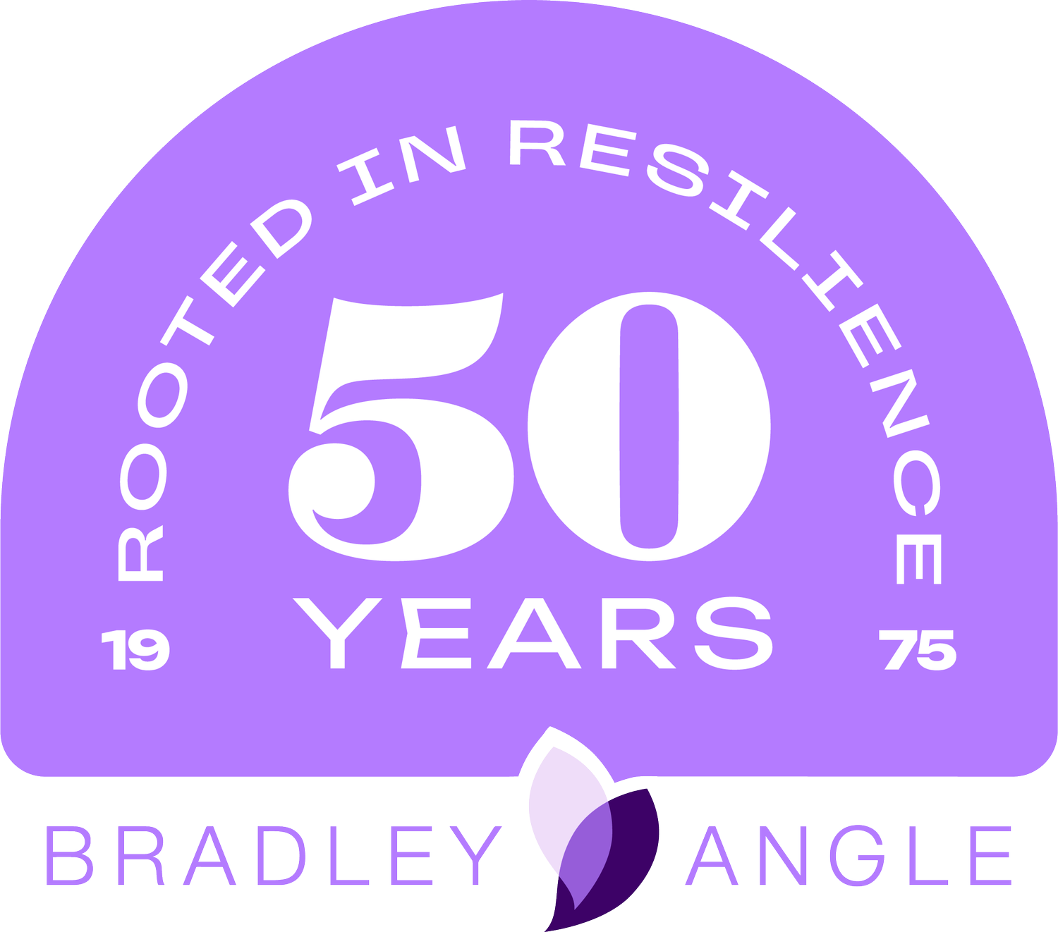 Bradley Angle