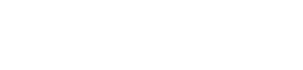 Flex Fitness