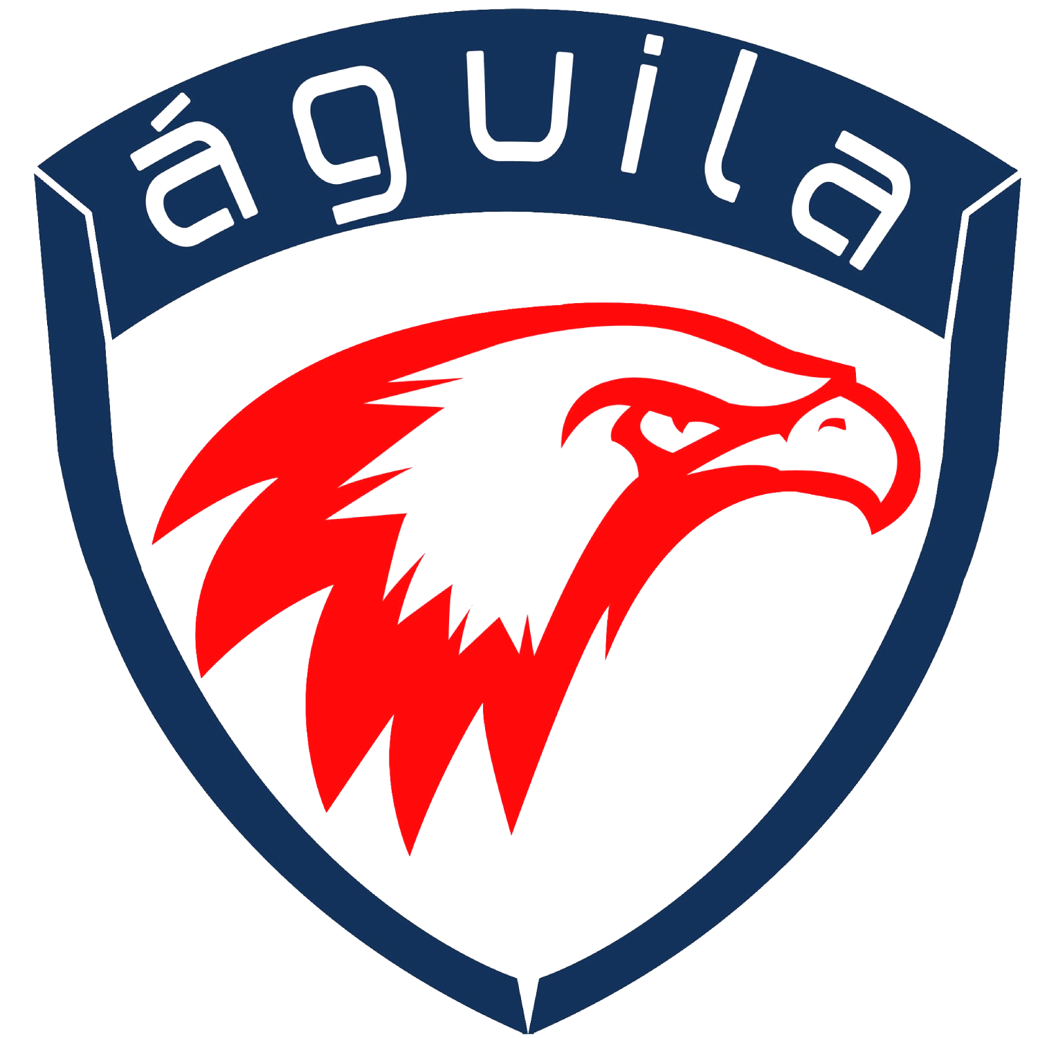Aguilaitconsulting