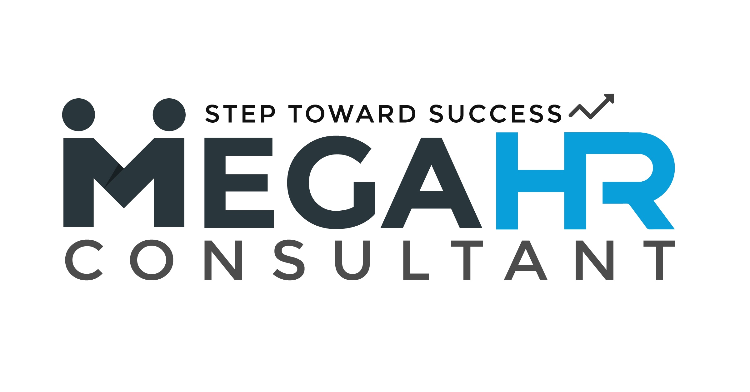 Mega HR Consultant