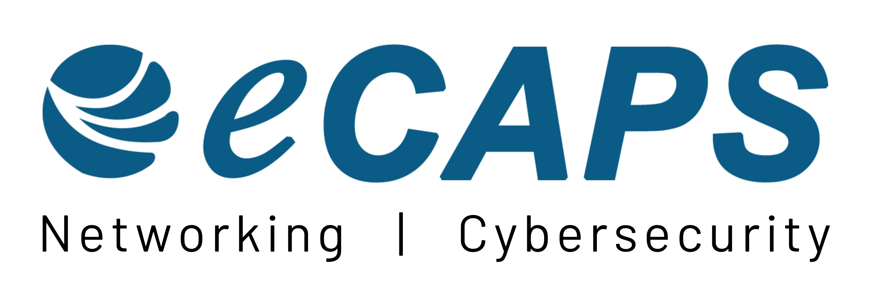Ecaps Computers India