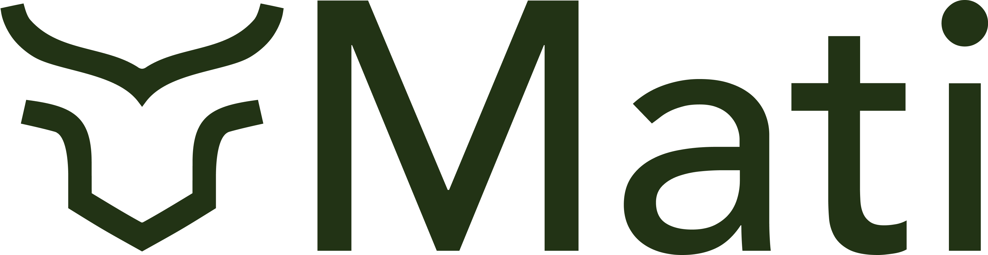 Mati Carbon