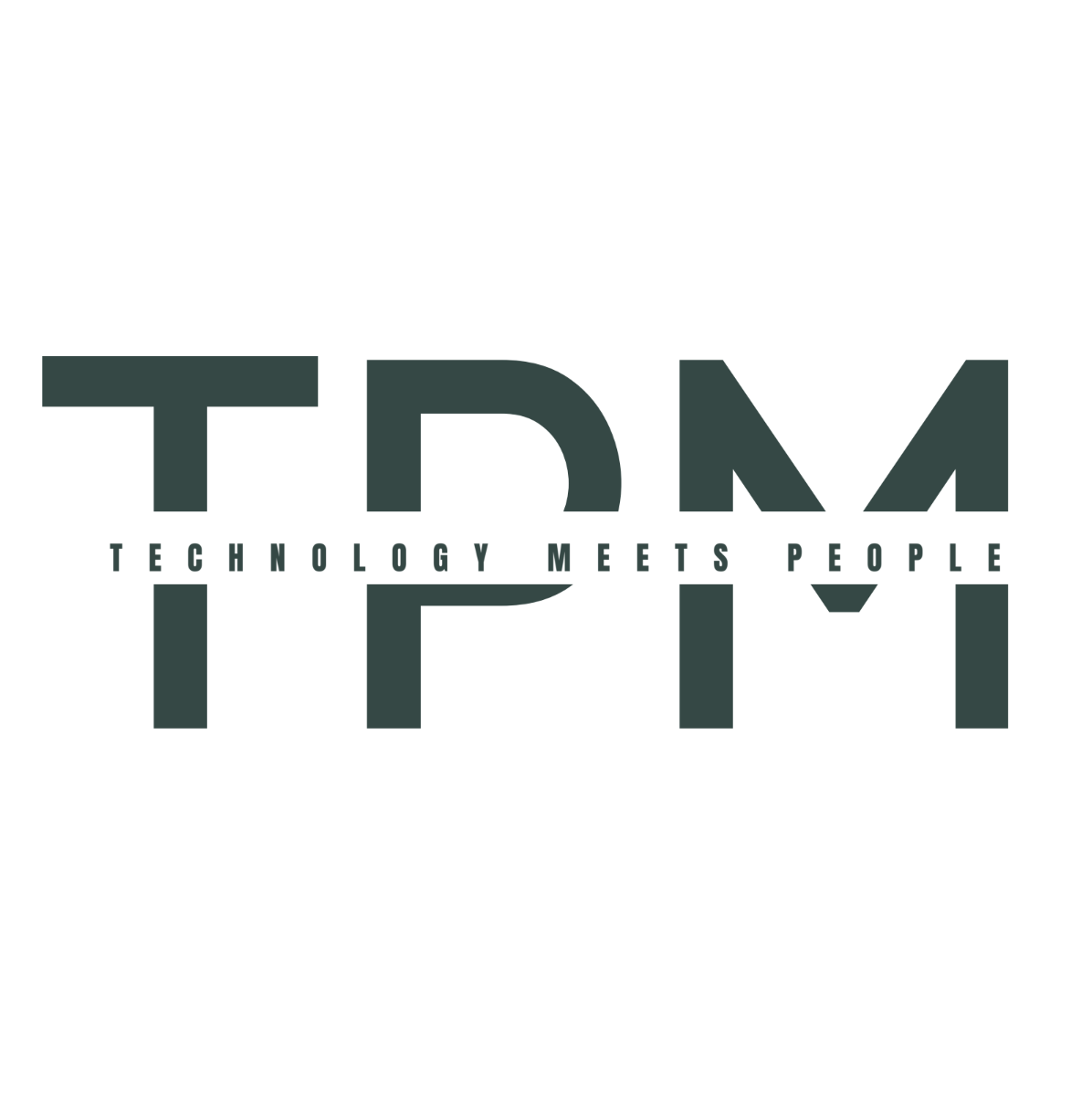 TPM Fin